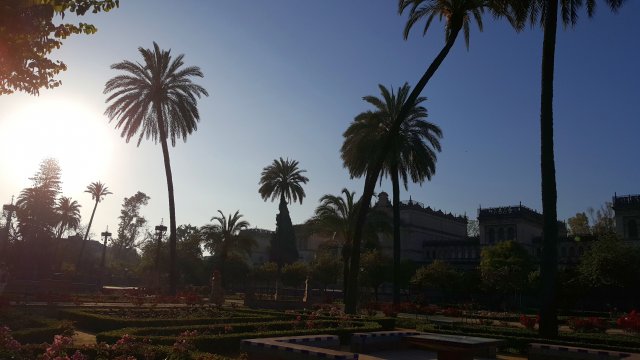 808 sevilla